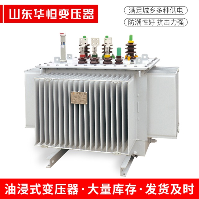 S13-10000/35卓尼卓尼卓尼电力变压器